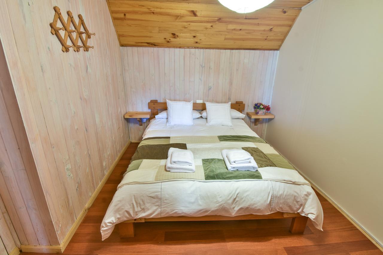 Hola Pucon Hotel Ngoại thất bức ảnh